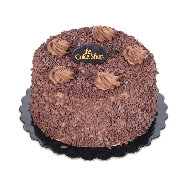 Chocolate Chips Cake